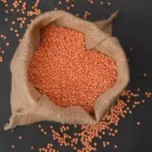 Tandur Red Gram